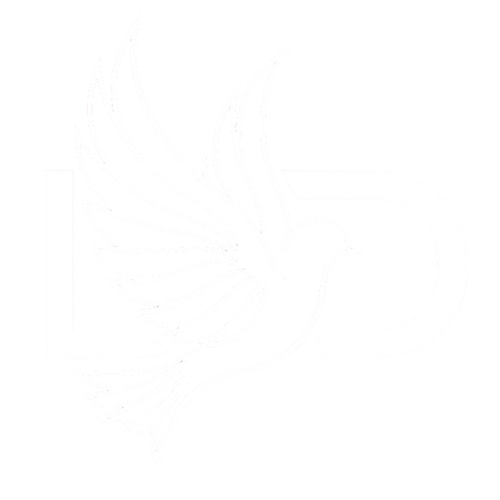 Lumen Dei