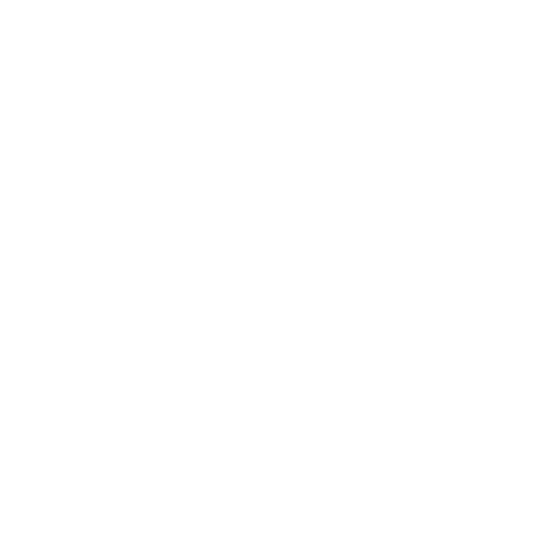 Salt and Photo