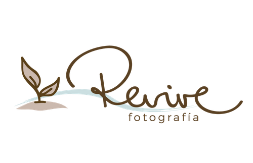 Revive Fotografía