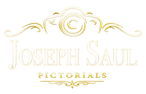 Joseph Saul Art