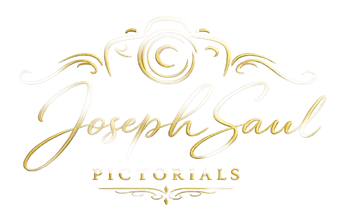 Joseph Saul Art