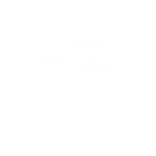 Shutterbug Photography