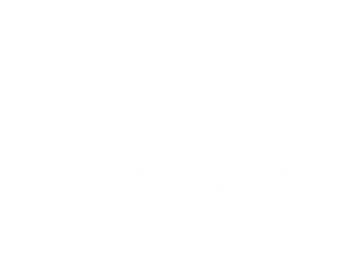 Wildflower Photography