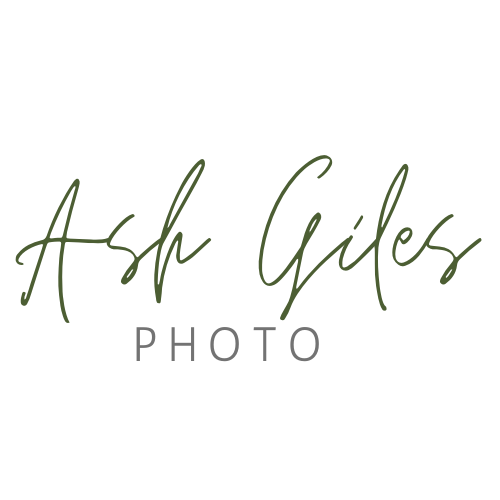 site-logo