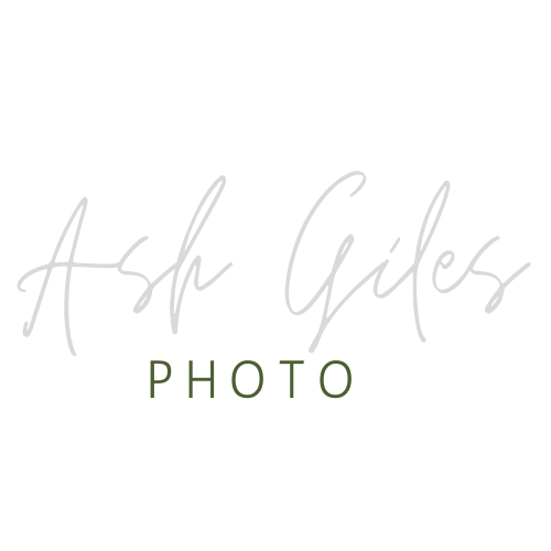 site-logo