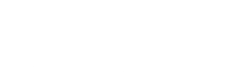 v+s