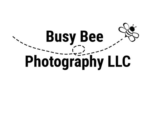 Busy Bee Photography LLC
