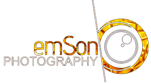 site-logo