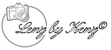 Lenz by Kenz