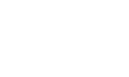 Dave S Photography