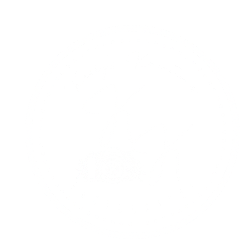 Kelly's Kreations Photography