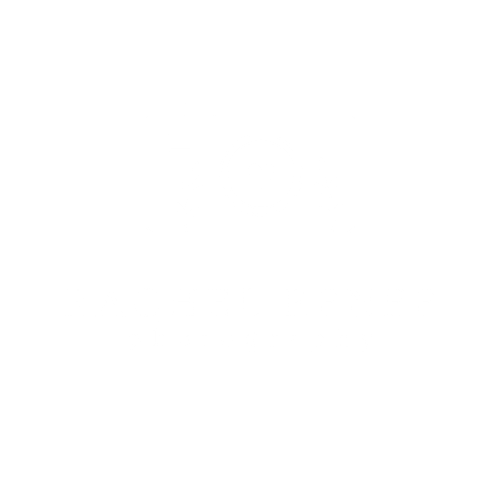 Rachel Renee Photography