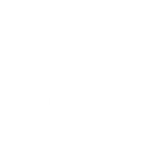 Aline Zanin Photography