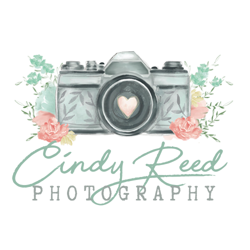 Cindy Reed Photography