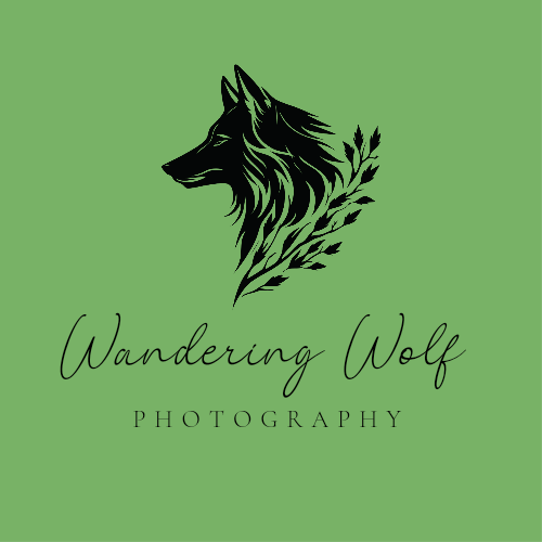 Wandering Wolf Photography