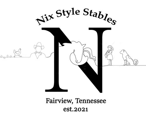 Nix Style Life