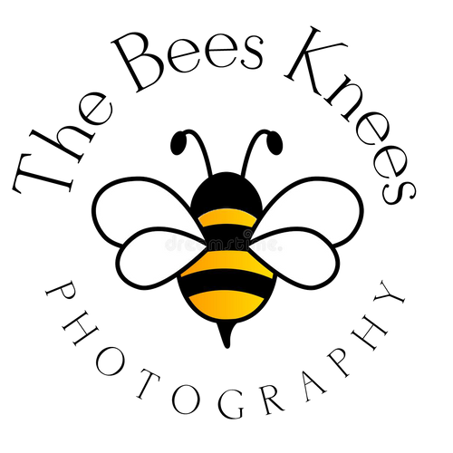 Bees Knees Photography
