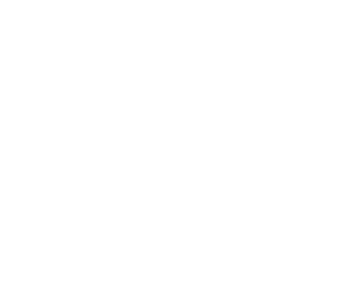 Atiam Photography