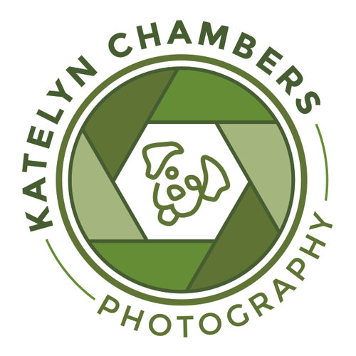 site-logo