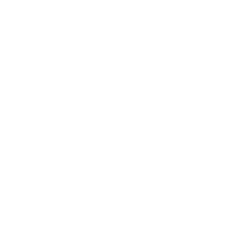 chandan venigella photography