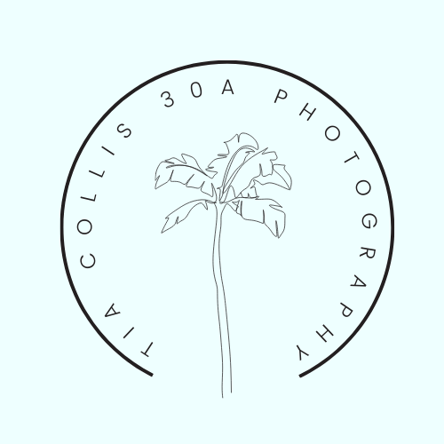 Local Lens - 30A Beach Photographer