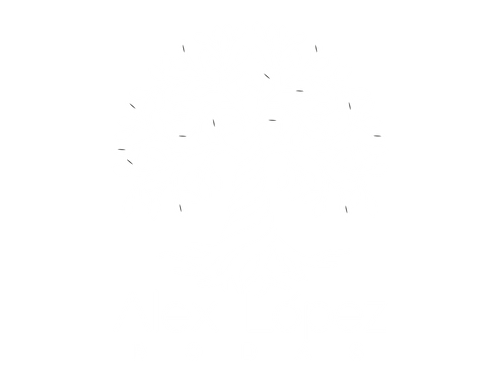 Alex López Fotografia