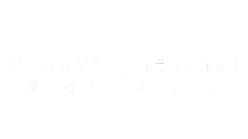 Always Chestnut Photography