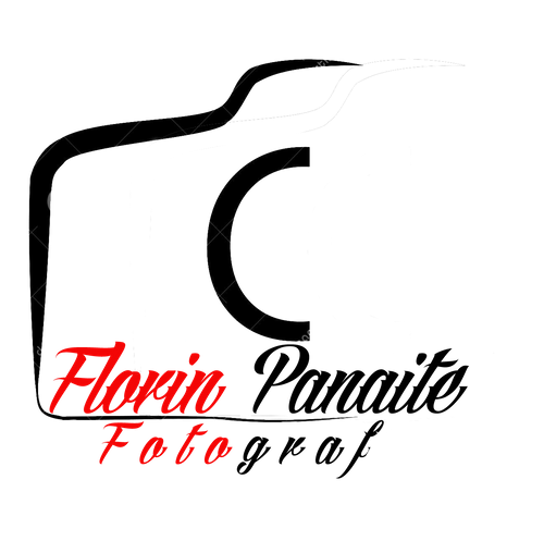 Florin Panaite