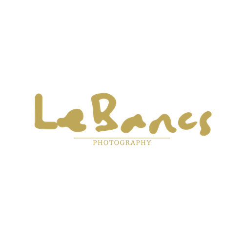 Michael LeBancs