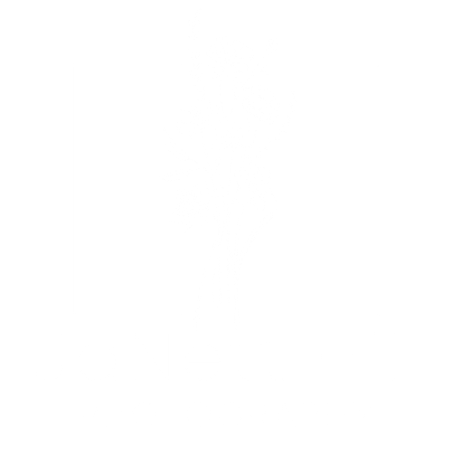 JaNett Hill Photography