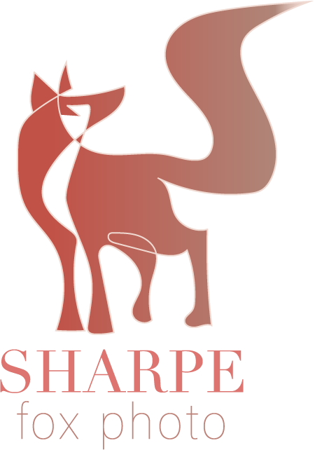 Sharpe Fox Photos