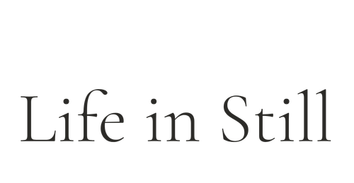 Life i﻿n Still