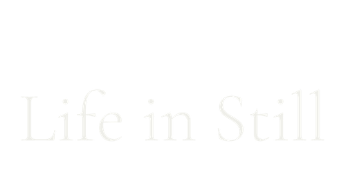 Life i﻿n Still