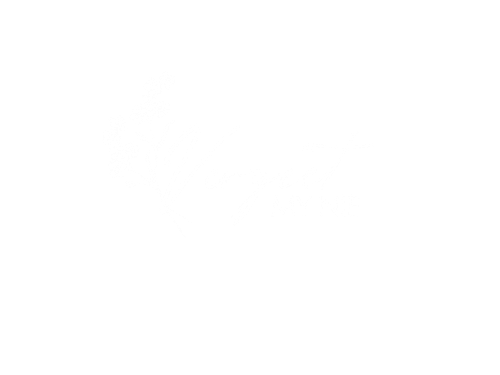 Vergeet my nie Fotografie
