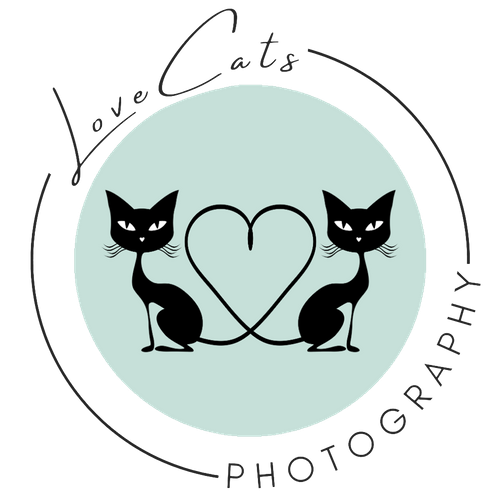 LoveCats Photography