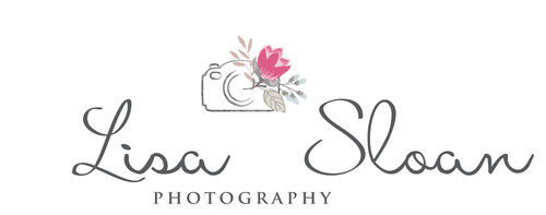 Lisa Sloan Photography