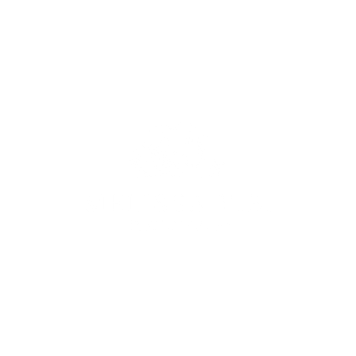 Melissa V.B Photography