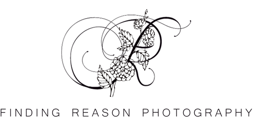 Finding Reason Photography