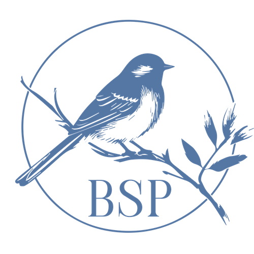 Blue Sparrow Productions
