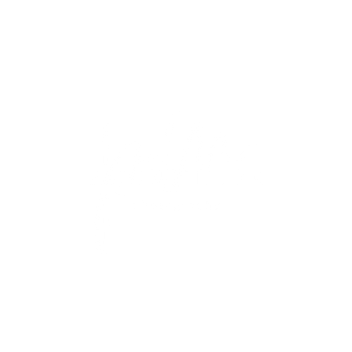 Paige Miller Photography