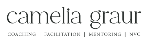 Camelia Graur Coaching
