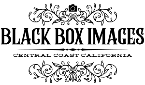 Black Box Images