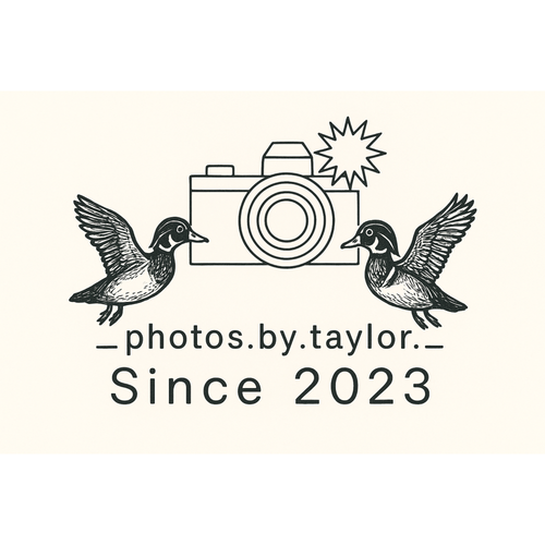 _.photos.by.taylor._