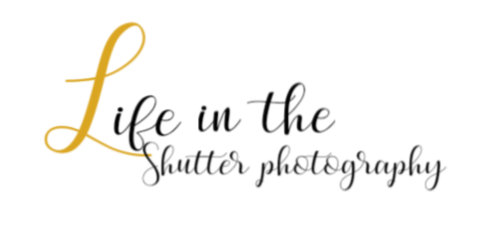 Life in the shutter photography