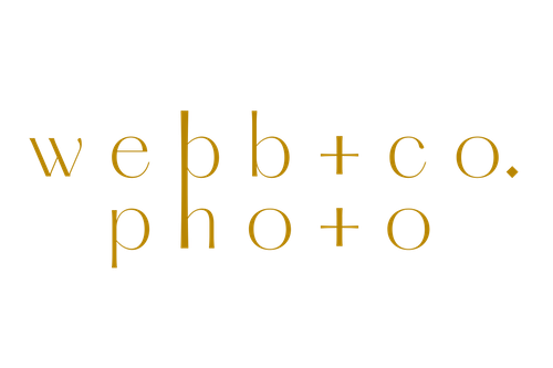 webb + co. photo