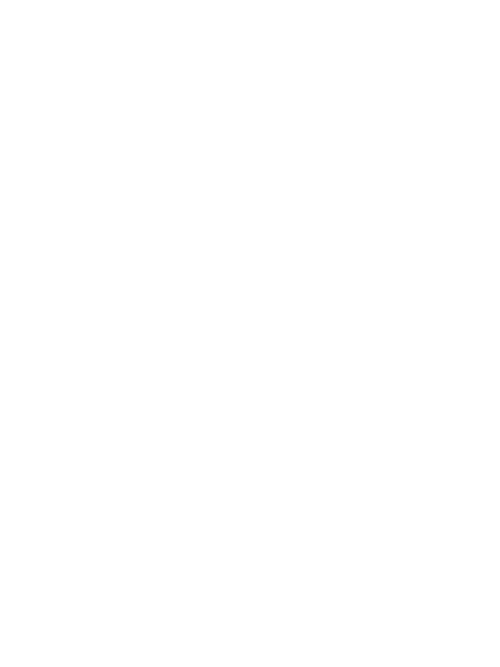 Amy Neil