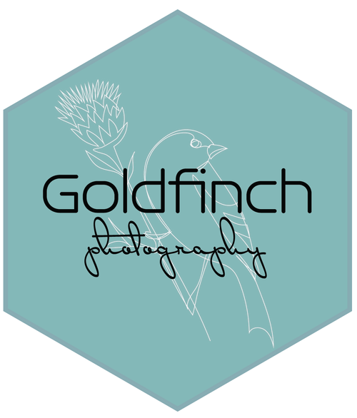 Goldfinch Photography