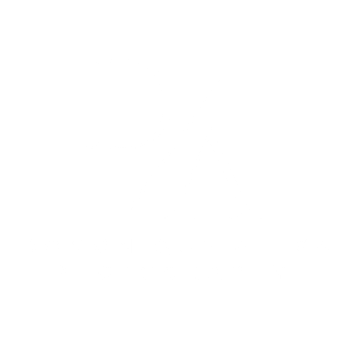 Domonique Alexa Photography