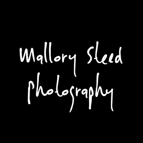 Mallory Steed Photography