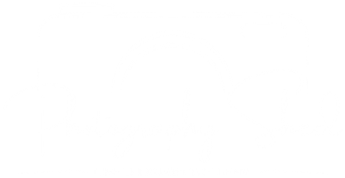 Photography Shed